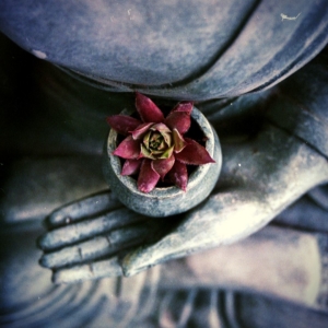 storia yoga raja yoga